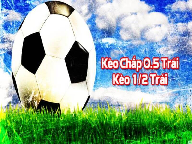 Keo 0 5 trai chinh la keo nua trai 4 - kèo nửa trái là sao