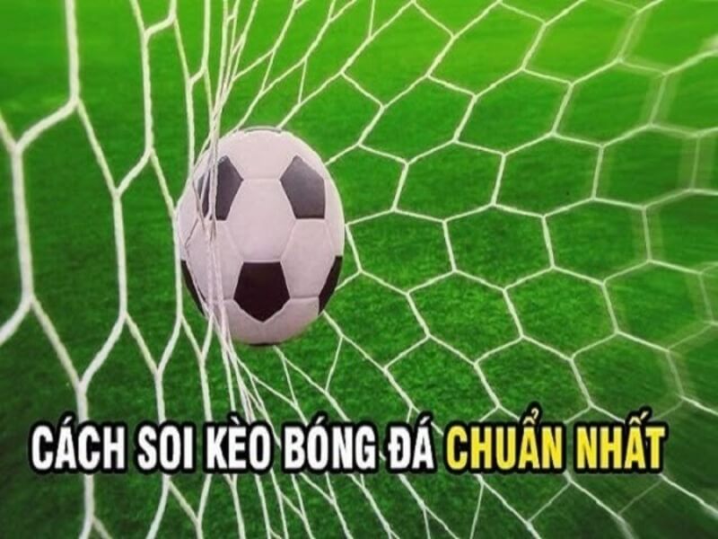 AOS trong cá độ bóng đá là gì và cách đặt cược theo AOS 5 Kih nghiem soi keo AOS cho nguoi moi choi ca cuoc 5 - aos trong cá độ bóng đá là gì