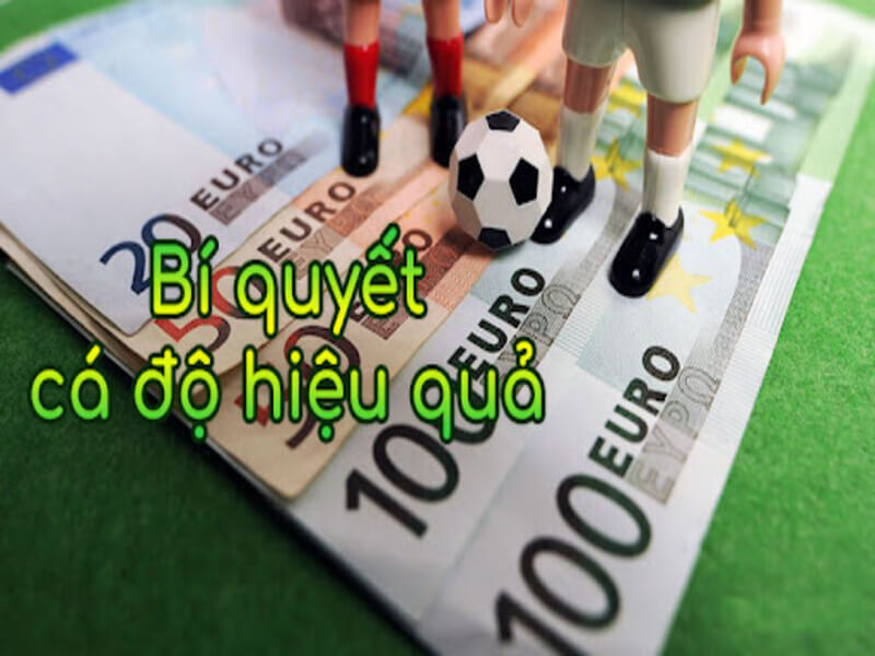 Meo cuoc bong da de luon thang cho anh em choi ca do 8 - cách cá cược bóng đá luôn thắng