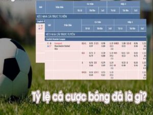 Tim hieu ty le ca cuoc bong da 1 - kèo cược chẵn lẻ bàn thắng