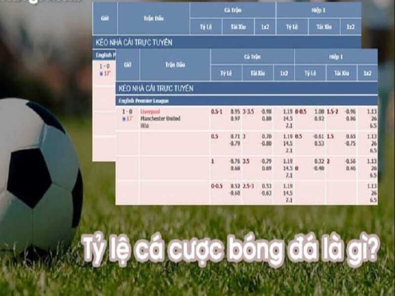 Tim hieu ty le ca cuoc bong da 1 - cách đọc kèo bóng đá
