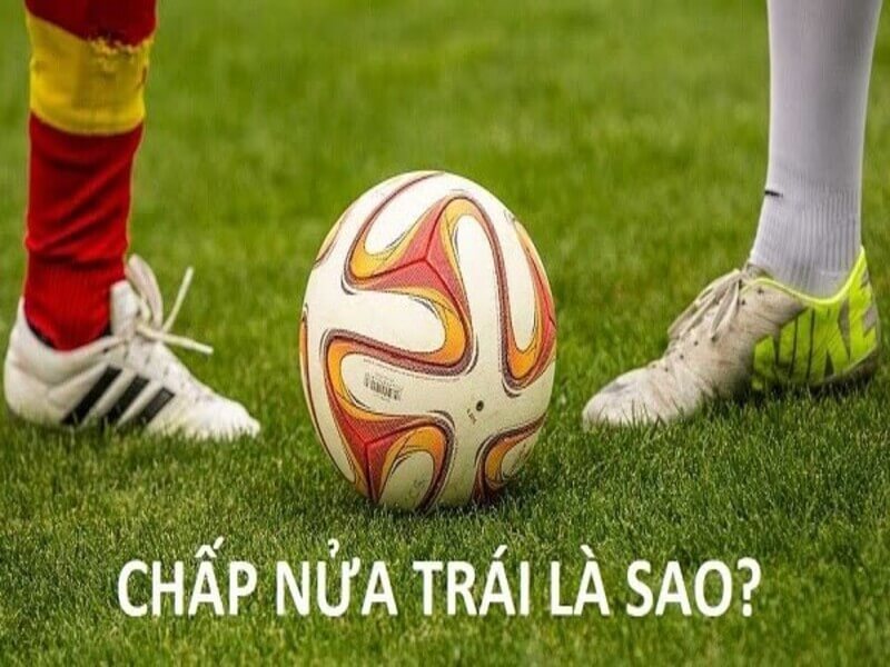 Tim hieu ve keo chap nua trai la sao 1 - kèo nửa trái là sao