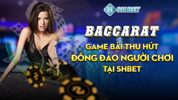 Review chi tiết về SHBET - Nhà cái uy tín hàng đầu hiện nay